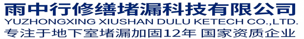 山东雨中行修缮堵漏科技有限公司